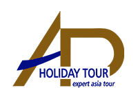 AP Holiday Tour