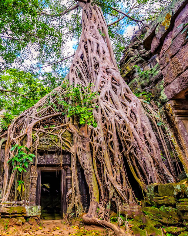 Explore Cambodia Package Tour